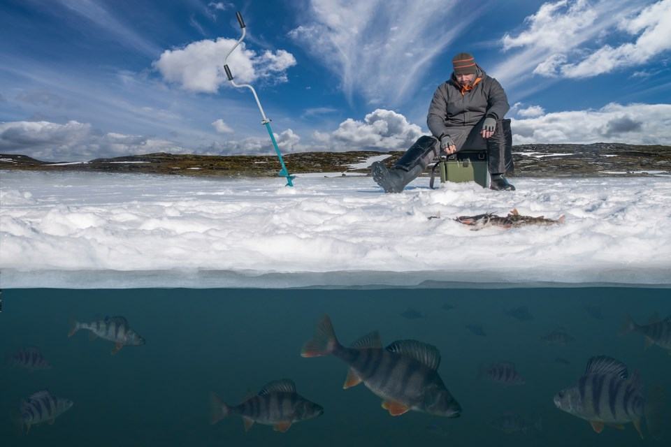 Pesca en el hielo:  You can get 600 Fishing Spots for registering  